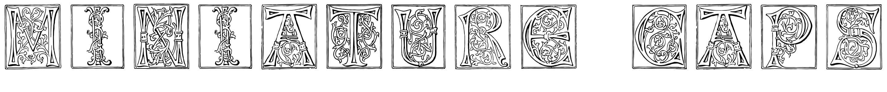 Font Miniature-Caps