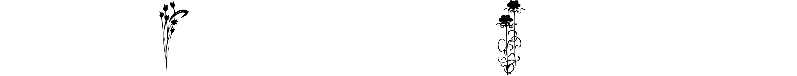 Font KR Classic Fleur 2