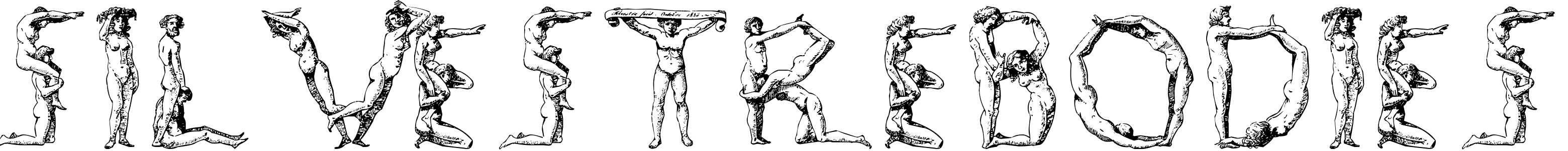Font SilvestreBodies