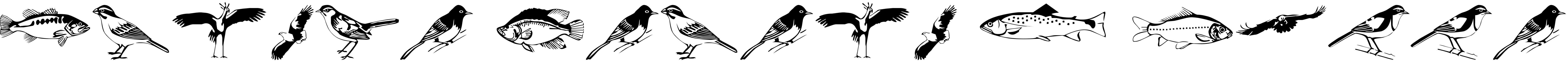 Font Afrika Safari F Gogga