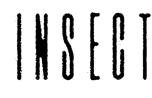 Font Insect