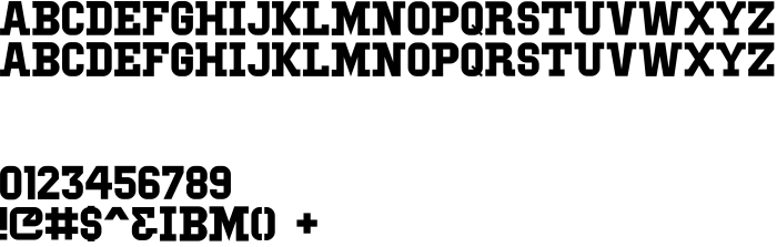 Шрифт IBM Block Serif